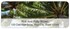 Caribbean Paradise Address Labels Image 1