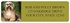 Havanese Address Labels Image 1