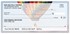 Hot Air Balloons Checks Image 4